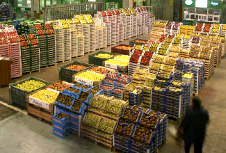 fruit export